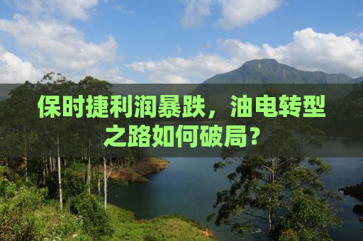 保时捷利润暴跌，油电转型之路如何破局？