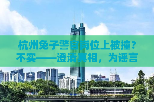 杭州兔子警官岗位上被撞？不实——澄清真相，为谣言止谣