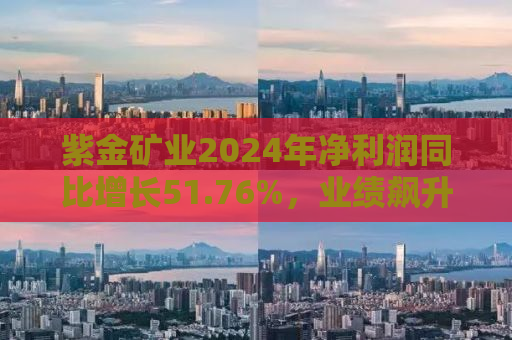 紫金矿业2024年净利润同比增长51.76%，业绩飙升背后的驱动力与前景展望